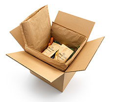 Nachhaltige Verpackung für den Kühlkettenversand